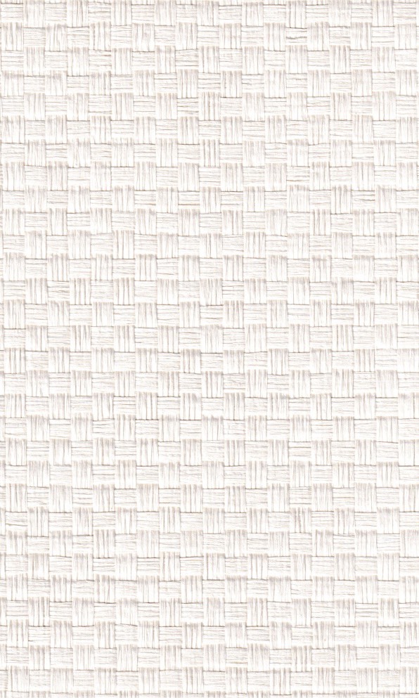 Atelier Weave sample 7